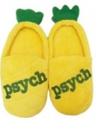 Psych Pineapple Slippers